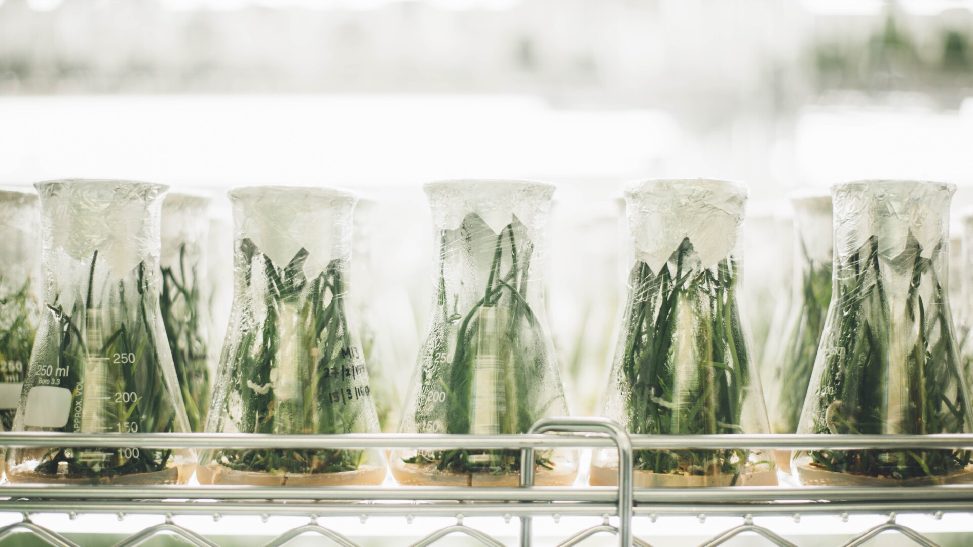 What’s Next in Crop Science From Bayer and CropLife