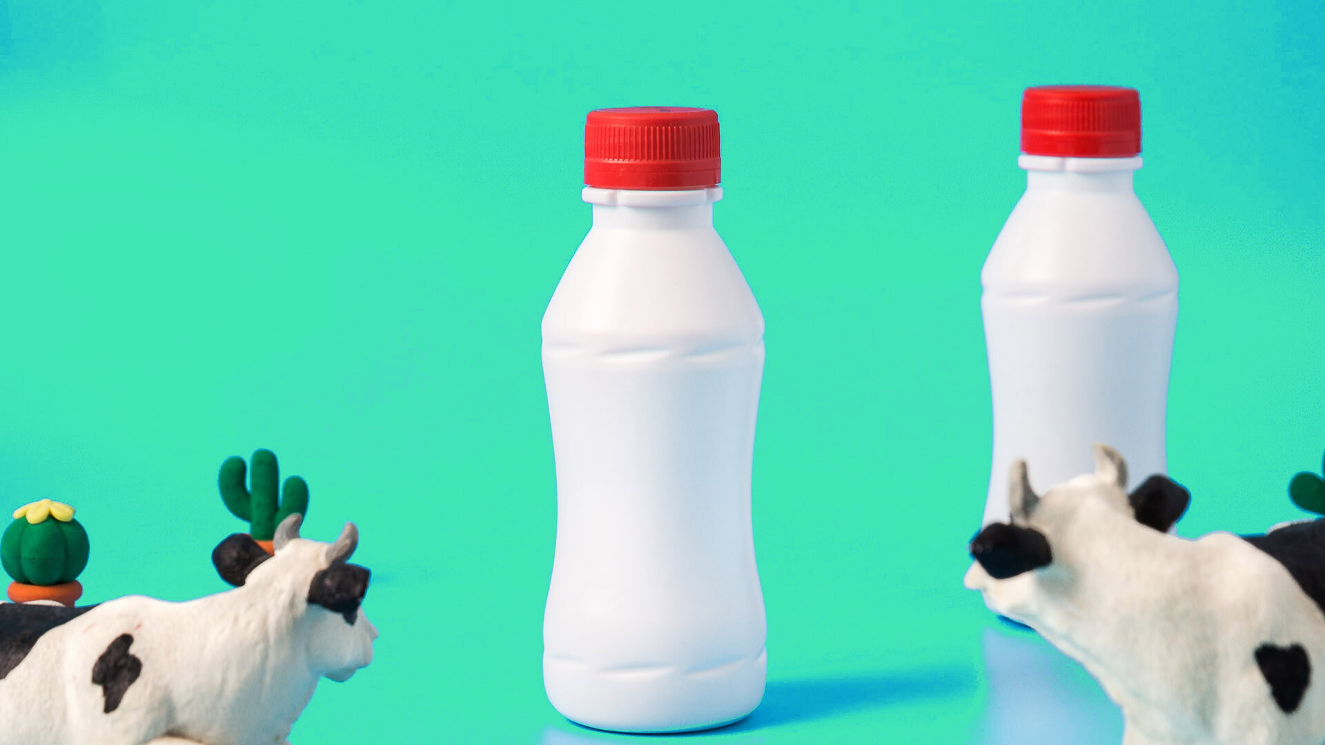 Epsilyte: Advancing Bio-Degradability in Packaging